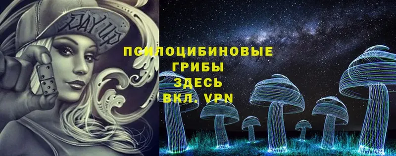 маркетплейс формула  Кириши  Галлюциногенные грибы Cubensis  ОМГ ОМГ как войти 